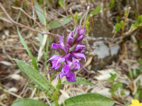 f0118332_00282931.jpg