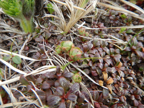 f0118332_00294736.jpg