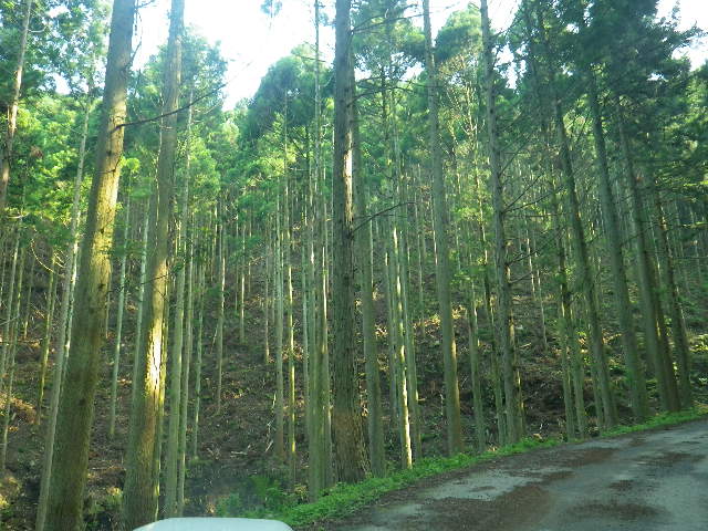 c0183137_1903425.jpg
