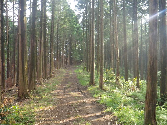 c0183137_19104524.jpg