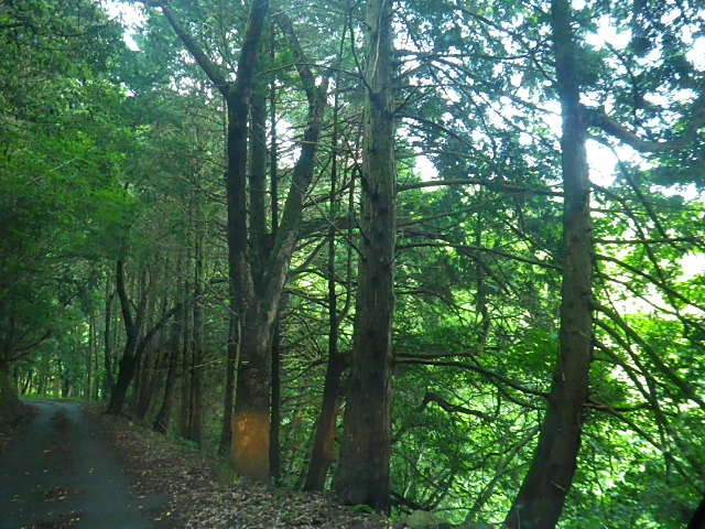 c0183137_1961798.jpg