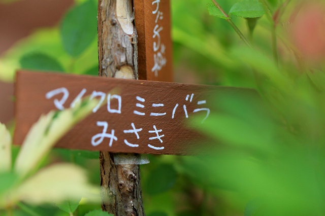 a0242438_1941661.jpg