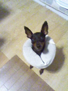 e0150843_23304670.jpg