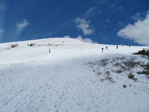 c0081645_2120539.jpg