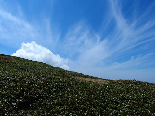 c0081645_21452433.jpg