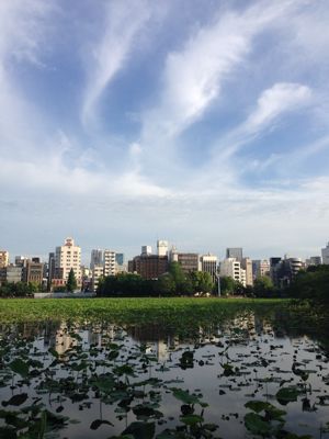 f0189246_8125537.jpg