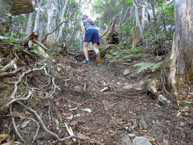 e0329049_16243390.jpg