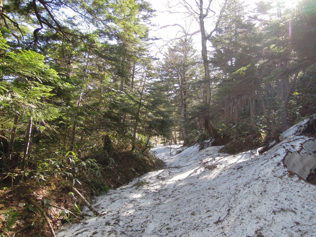 e0329049_16271992.jpg