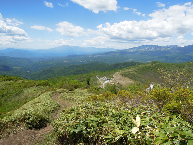 e0329049_1731810.jpg