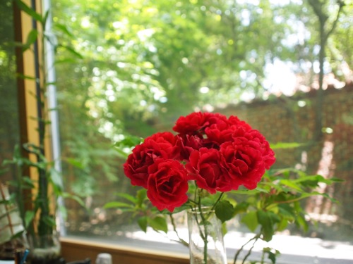 f0035251_2158750.jpg