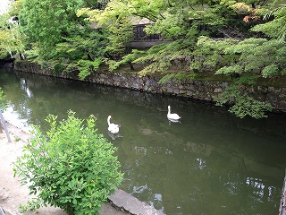 d0031853_2232012.jpg