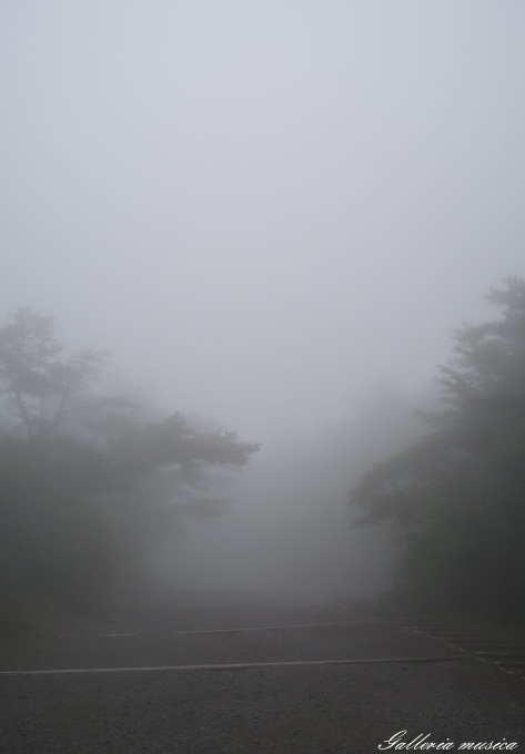 f0351853_15513310.jpg