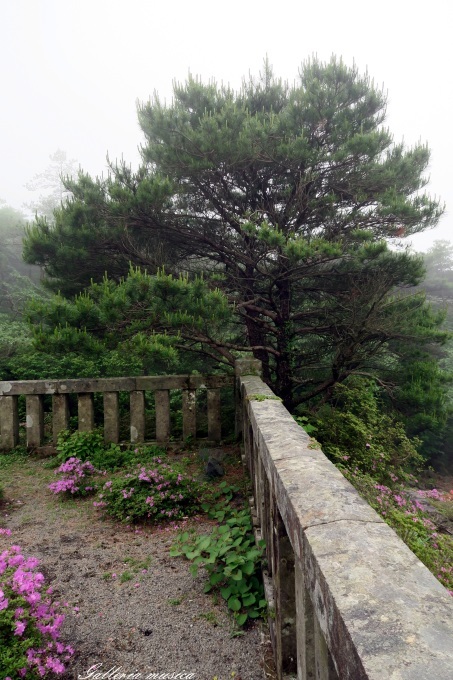f0351853_15552817.jpg
