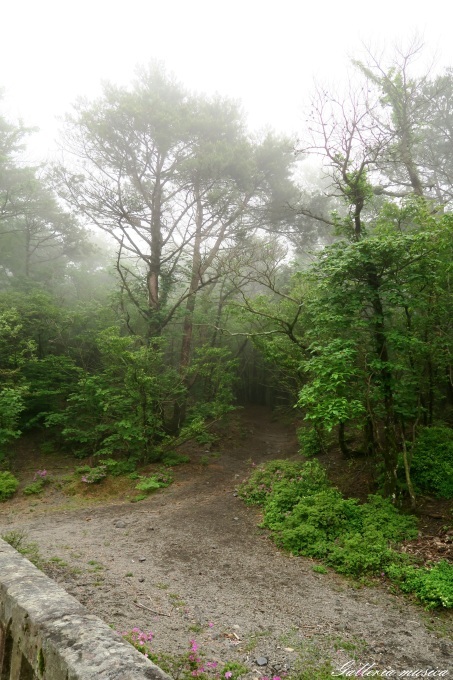 f0351853_15555161.jpg