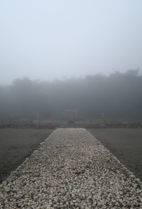 f0351853_15561382.jpg