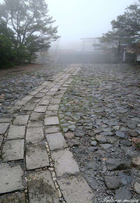 f0351853_15563298.jpg