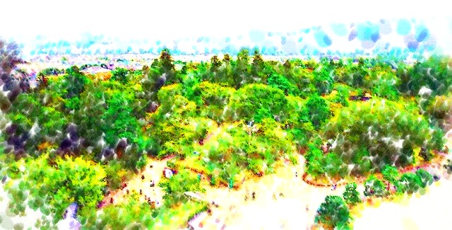 c0119160_14282778.jpg