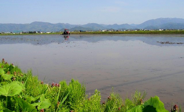 c0119160_22292643.jpg