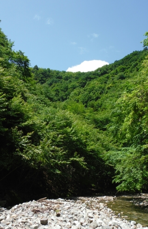 b0304662_21284158.jpg