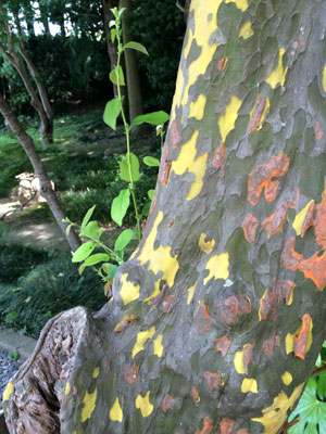 c0050264_21521470.jpg