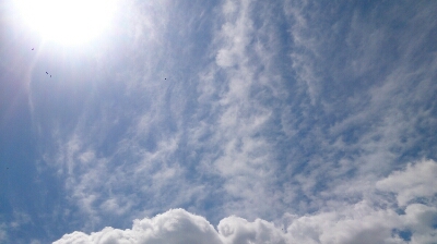 a0339467_10451512.jpg