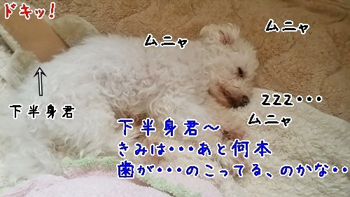 e0248268_02142459.jpg