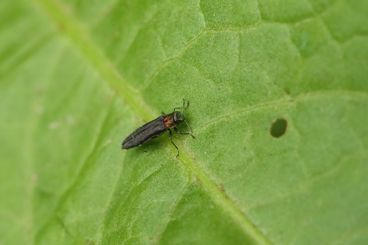 e0249878_22364190.jpg