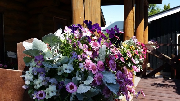 b0003280_22123489.jpg