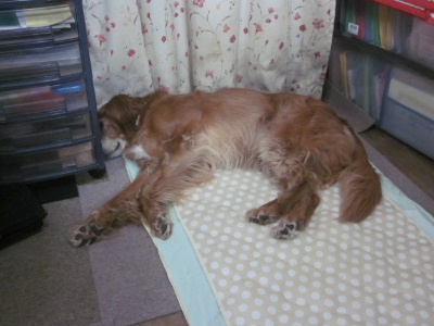f0005081_1558283.jpg