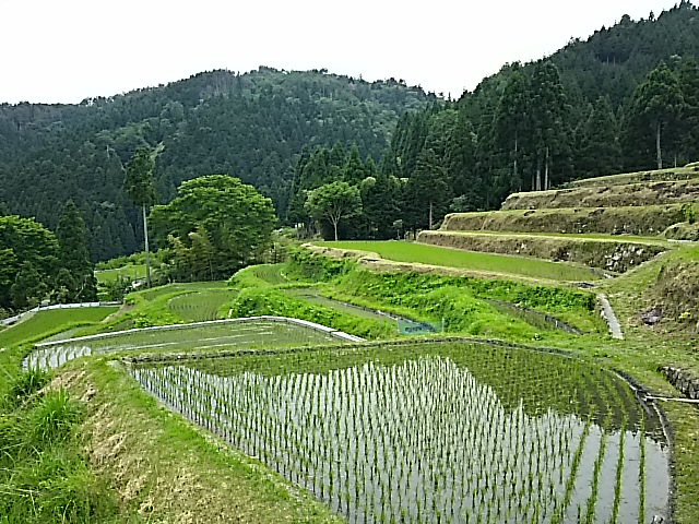 c0204188_1916586.jpg