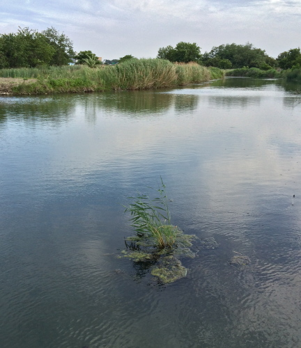 d0122088_19421604.jpg
