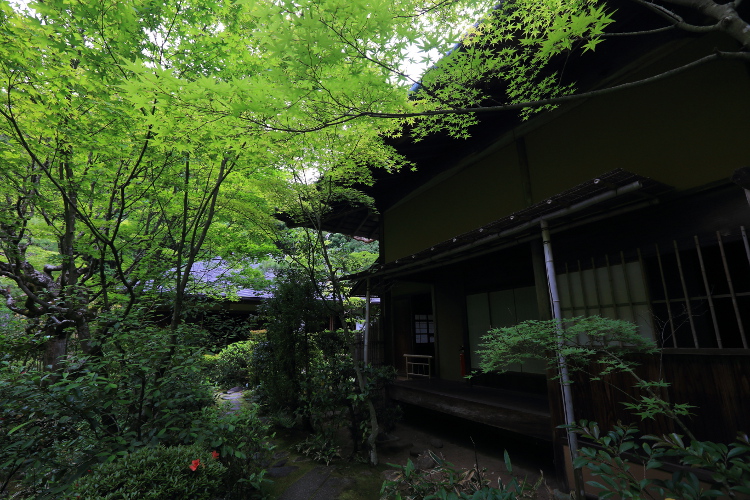 e0051888_0411313.jpg