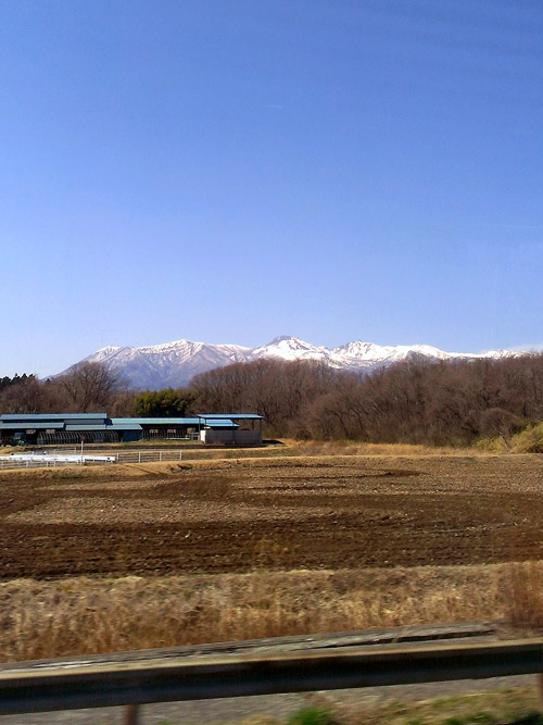 c0001491_085253.jpg