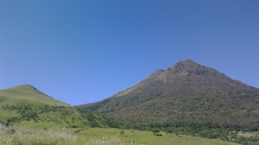 d0155893_1154678.jpg