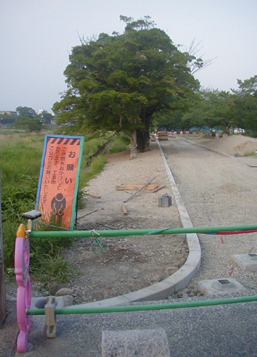 d0053294_11263.jpg