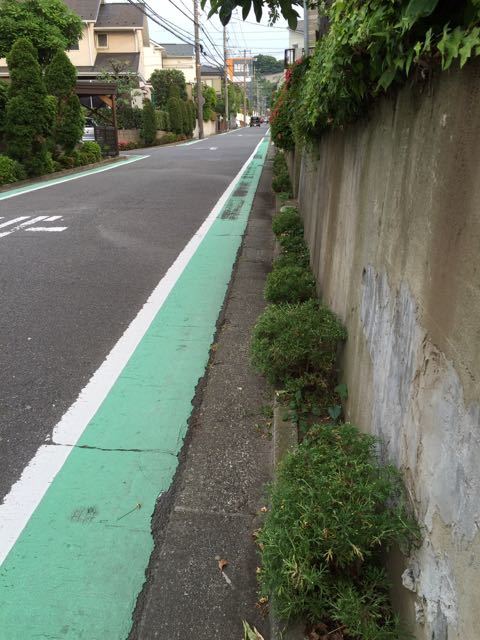 f0130894_23082028.jpg