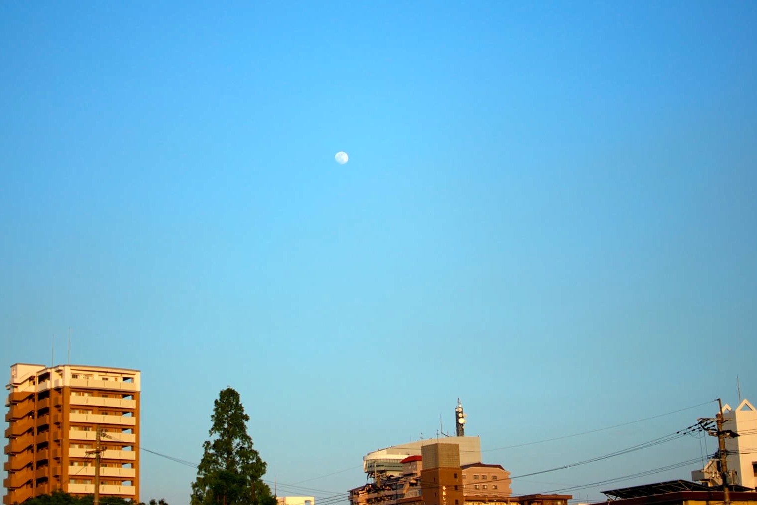 b0188998_21430982.jpg
