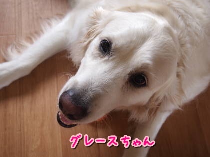 a0338800_19261799.jpg
