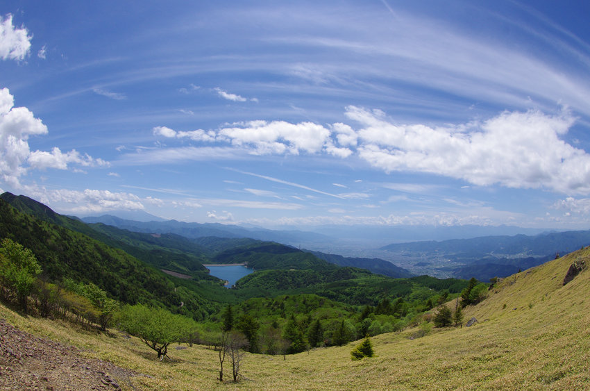 a0158802_1128535.jpg