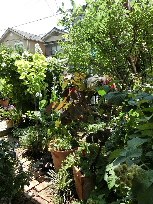 e0234004_19203746.jpg