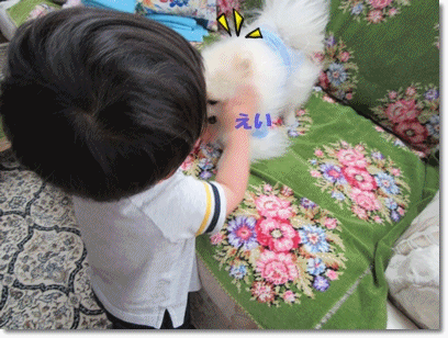 b0167519_22103648.gif