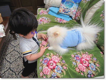 b0167519_22105297.gif