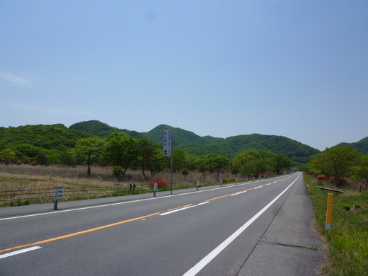 d0221319_041501.jpg