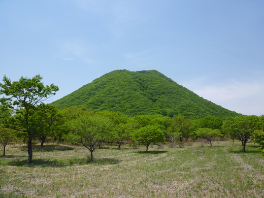 d0221319_0415695.jpg