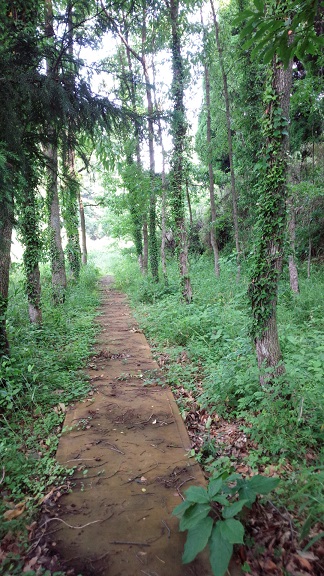f0031420_936342.jpg