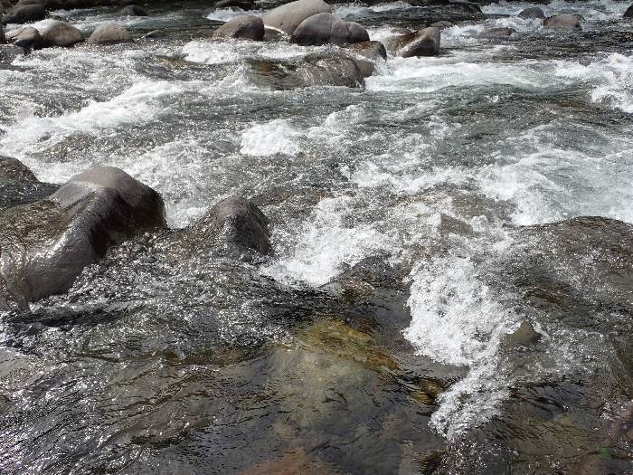 f0103126_20415287.jpg