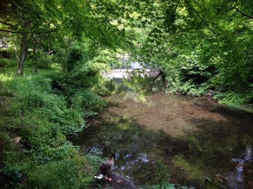 b0132630_22095959.jpg