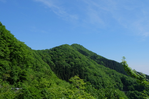 b0281732_11154457.jpg