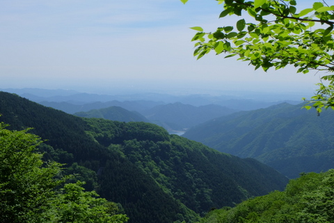 b0281732_11155351.jpg