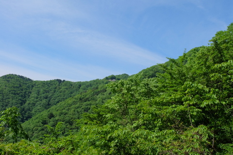 b0281732_1116052.jpg